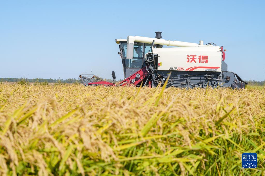腾龙娱乐登录网站